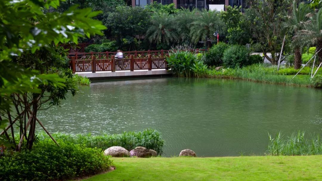 椰林樹影，風(fēng)暖花開 | 熱帶公園里的大區(qū)：珠海藍(lán)灣半島9-10期
